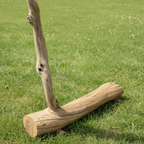 Live Edge Organic Hall Tree